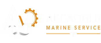 asansör servisi